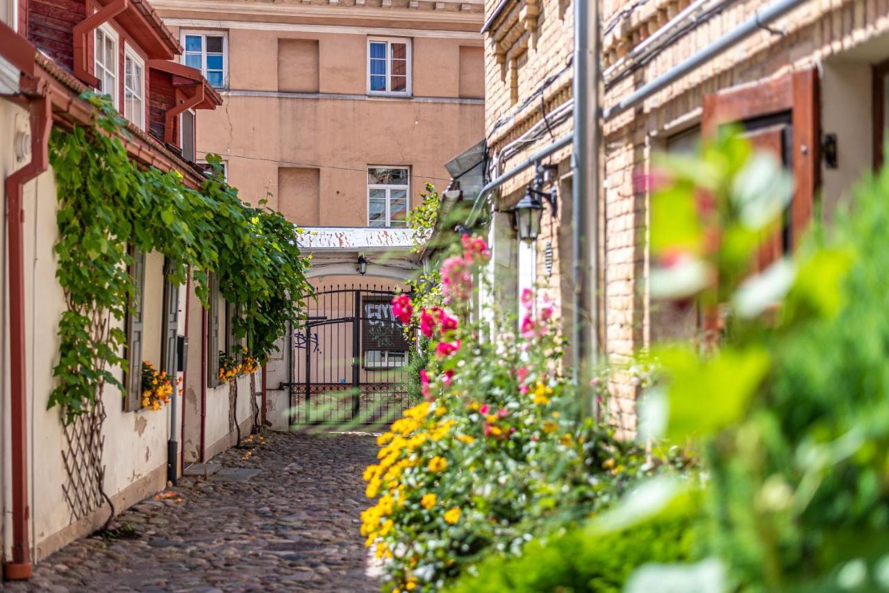 Sun Lighted Cathedral Square Studio Appartement Vilnius Buitenkant foto