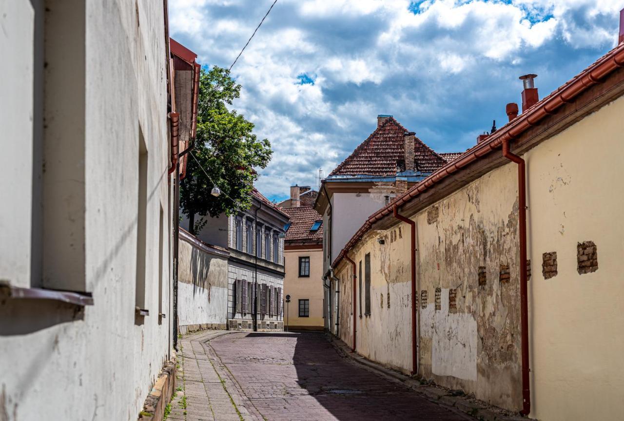 Sun Lighted Cathedral Square Studio Appartement Vilnius Buitenkant foto