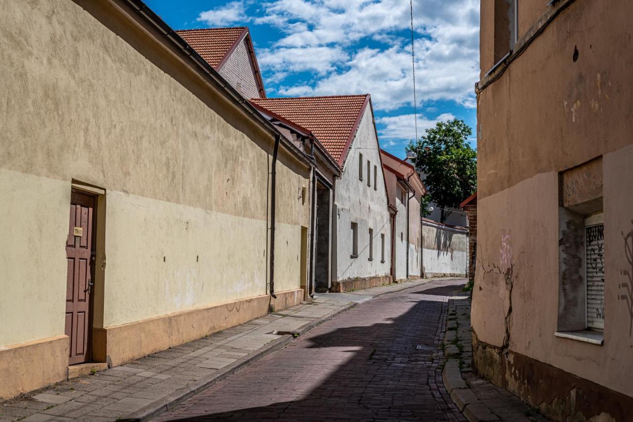 Sun Lighted Cathedral Square Studio Appartement Vilnius Buitenkant foto